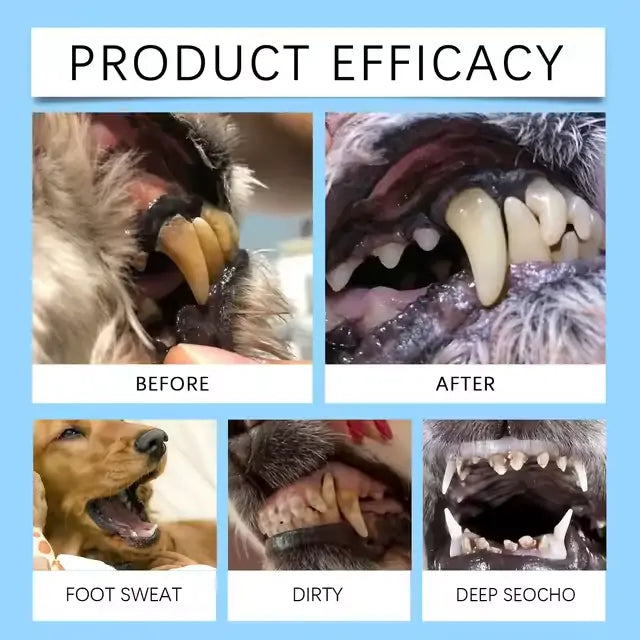 [Official Store] Yovot® Pet Dental & Digestive Health Oral Liquid – Freshen Breath, Remove Tartar & Promote gum regeneration, stabilize teeth (for Cats & Dogs)  – Save 80% Today!