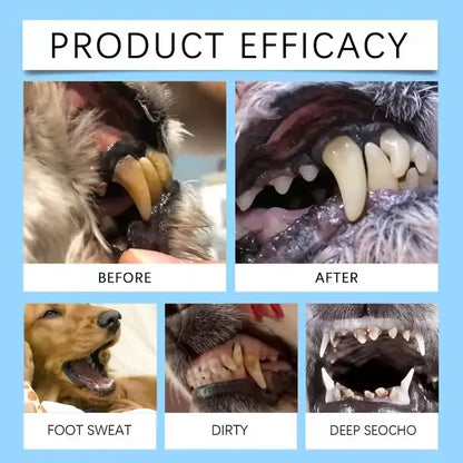 [Official USA Store] ZUEET® 6-in-1 Pet Wellness Companion Duck – A 6-in-1 wellness duck that supports teeth, skin, joints, digestion, intelligence and emotional balance.